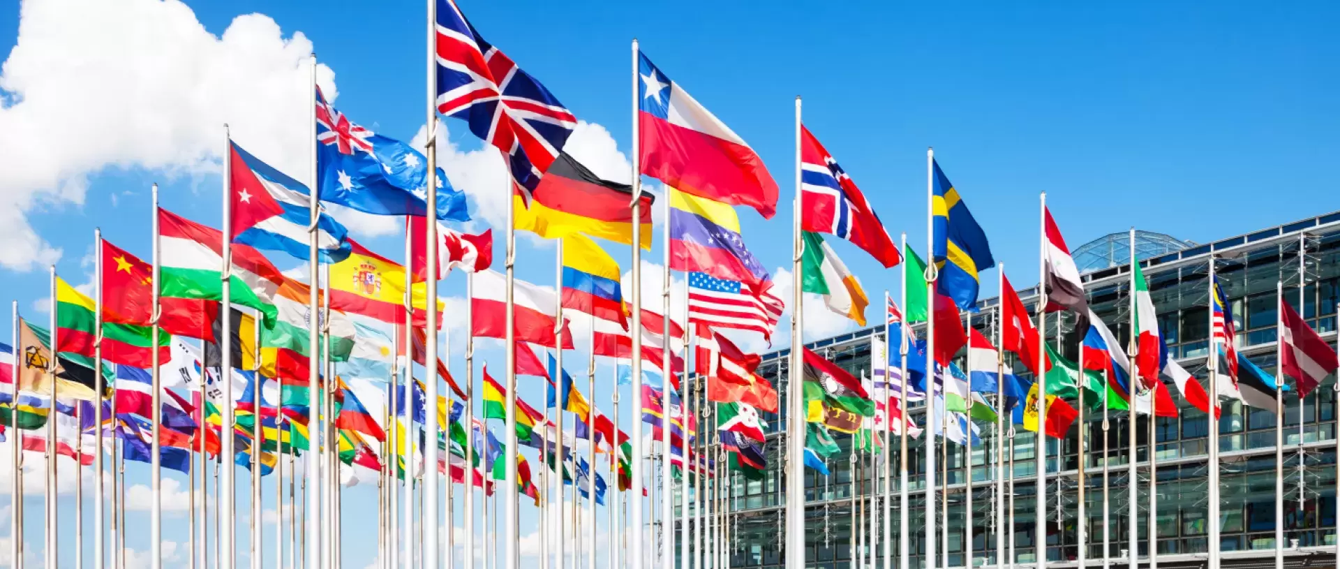 Internationale Rolfing Schulen