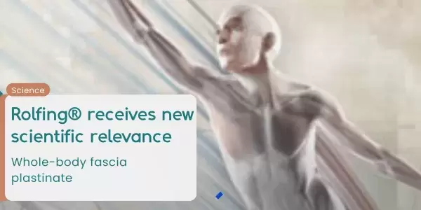 Rolfing® Structural Integration receives new scientific relevance
